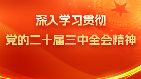 深入学习贯彻党的二十届三中全会精神